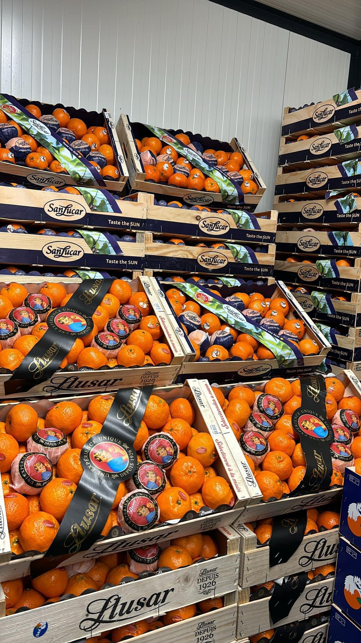 Produkty w sklepie Promyk